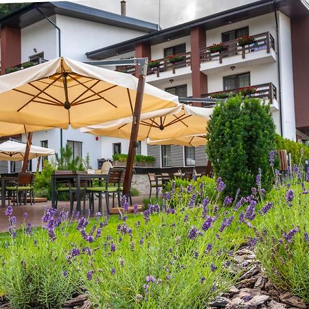 Piatra Pinului Ski&Spa Gura Humorului Exterior foto